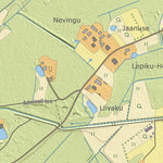 Järveküla, Elva vald