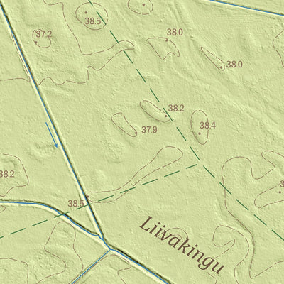 Raadna küla, Mustvee vald