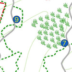 UK Arboretum: Orienteering Map Beginner Level