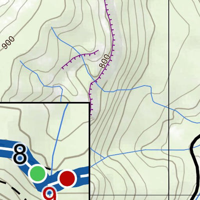 Glow Worm Tunnel Half Marathon 2022 Contingency