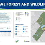 Palgrave Forest and Wildlife Area