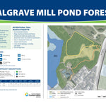 Palgrave Mill Pond Forest