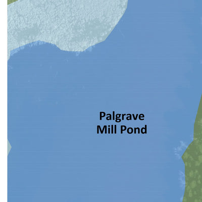 Palgrave Mill Pond Forest