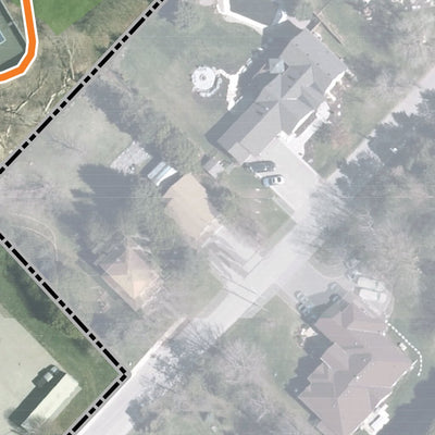 Palgrave Mill Pond Forest