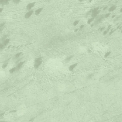 William T. Foster Woods