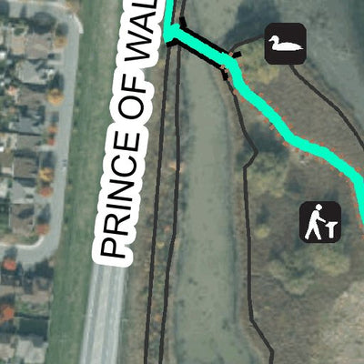 Chapman Mills Conservation Area RVCA