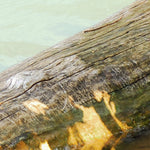 Glen Haffy Conservation Park