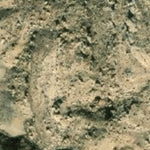 Hopi Tile 19