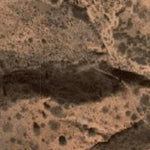 Hopi Tile 22