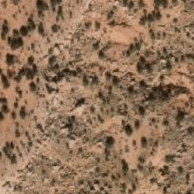 Hopi Tile 21