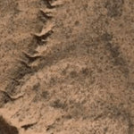Hopi Tile 55