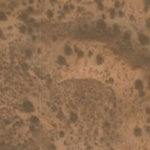 Hopi Tile 86