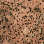 Hopi Tile 94