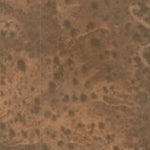 Hopi Tile 82