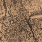 Hopi Tile 145