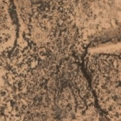 Hopi Tile 145
