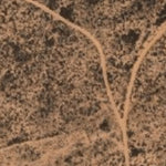 Hopi Tile 146