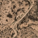 Hopi Tile 148