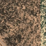 Hopi Tile 172