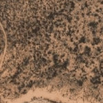 Hopi Tile 177