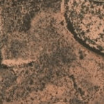 Hopi Tile 188