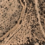 Hopi Tile 151