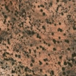 Hopi Tile 219