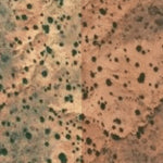 Hopi Tile 204