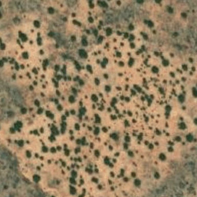 Hopi Tile 204