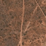 Hopi Tile 195