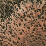 Hopi Tile 209