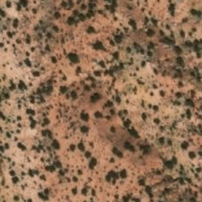 Hopi Tile 209
