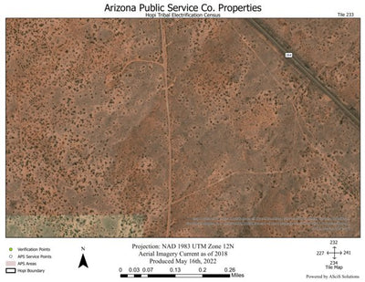 Hopi Tile 233