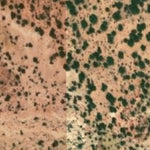 Hopi Tile 211