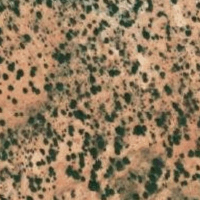 Hopi Tile 198