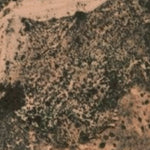 Hopi Tile 212
