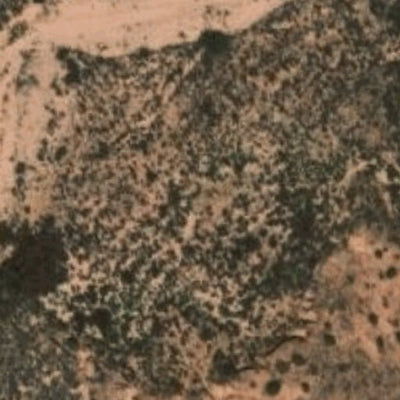 Hopi Tile 212