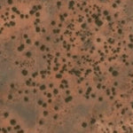 Hopi Tile 238
