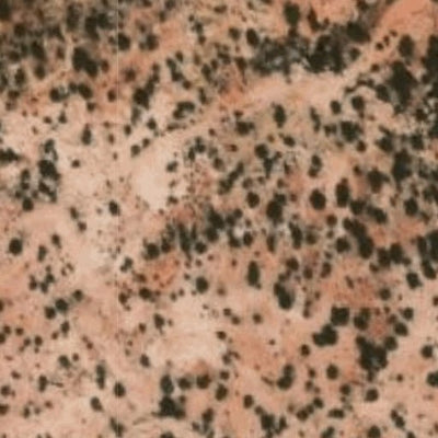 Hopi Tile 217