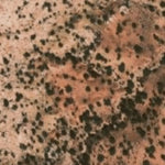 Hopi Tile 217