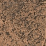 Hopi Tile 116