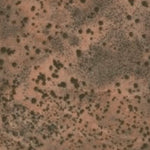 Hopi Tile 244