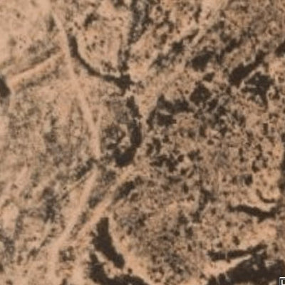 Hopi Tile 149