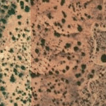 Hopi Tile 205