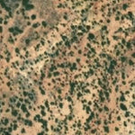 Hopi Tile 205