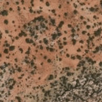 Hopi Tile 223