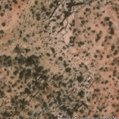 Hopi Tile 223