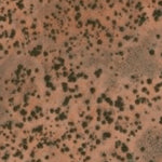 Hopi Tile 226