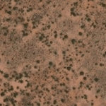 Hopi Tile 241