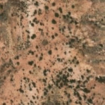 Hopi Tile 199